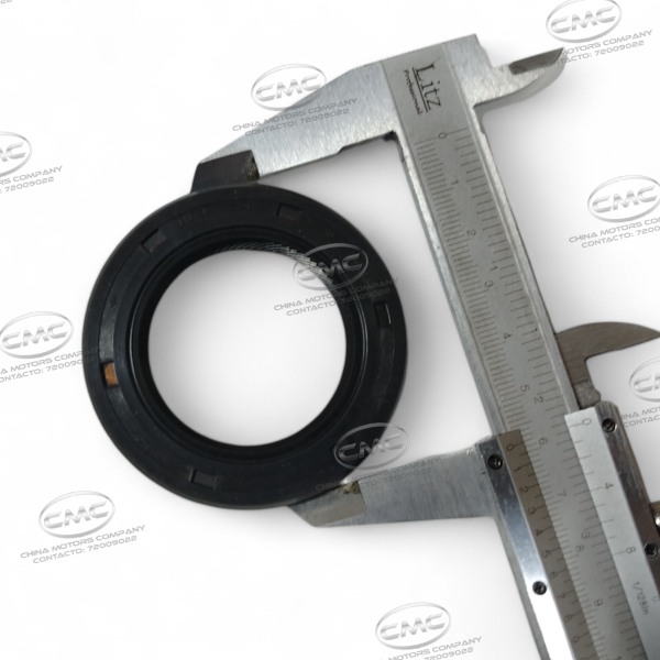 Conjunto de la escala de aceite de la carrocería trasera JINBEI